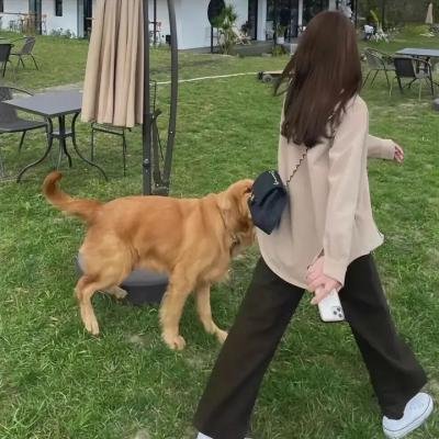 红颜的岁月